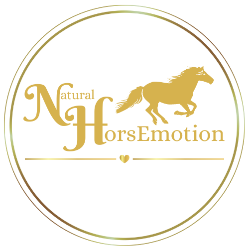 Natural HorsEmotion | Training voor paard en mens | Betuwe